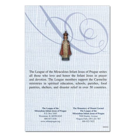 Infant Perpetual Deceased Mass Card #698