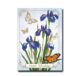 Easter Blessings Card Front Cover with Blue Iris and a butterfly