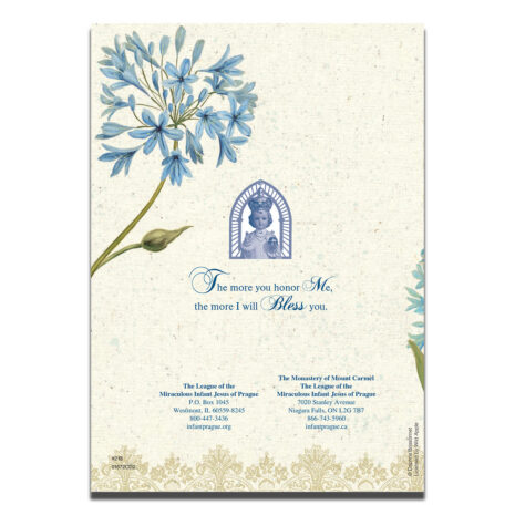 #218 Happy Birthday Back #218 Happy Birthday Back