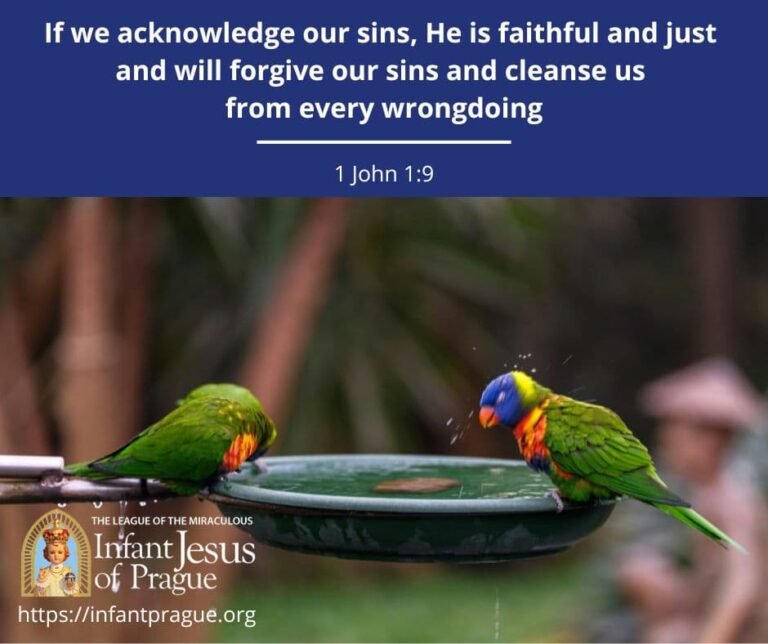 Rainbow lorikeet birds bathing in birdbath