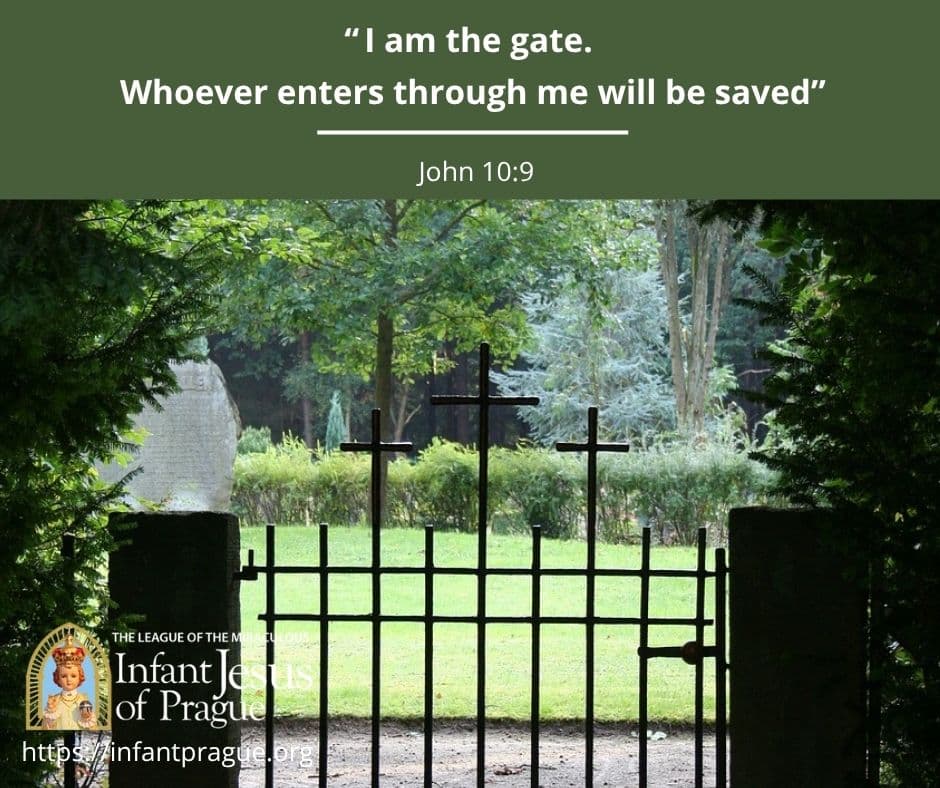 Infant of Prague Daily Scripture 1 John 10 V 9
