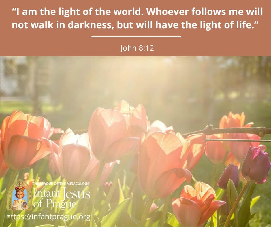 Infant of Prague Daily Scripture 1 John 8 V 12