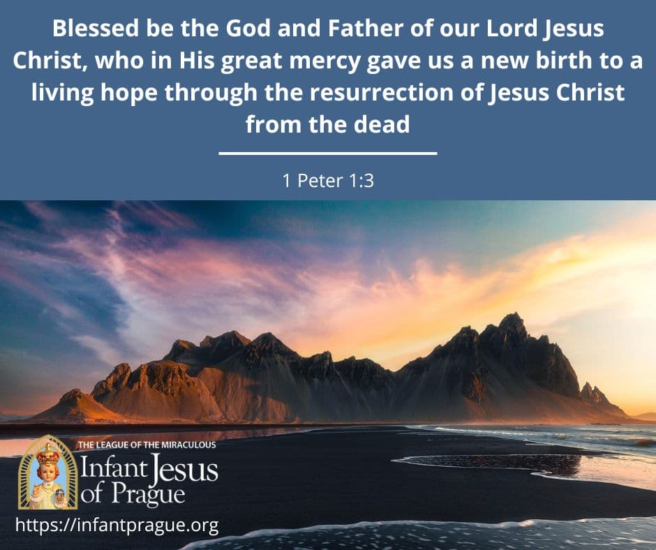 Infant of Prague Daily Scripture 1 Peter 1 V 3