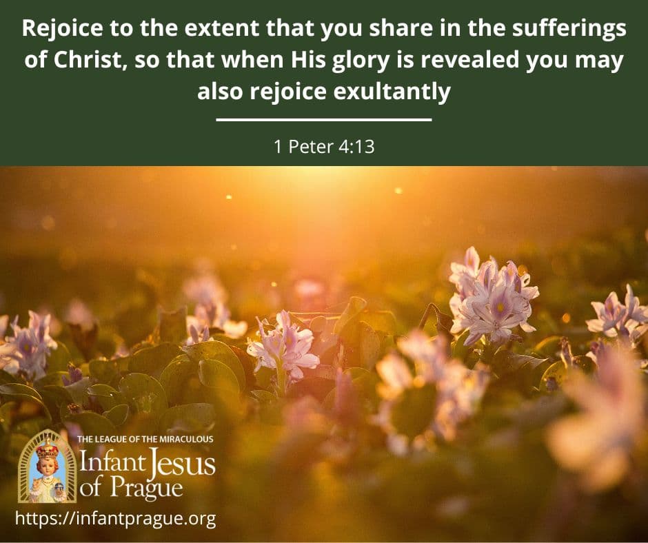 Infant of Prague Daily Scripture