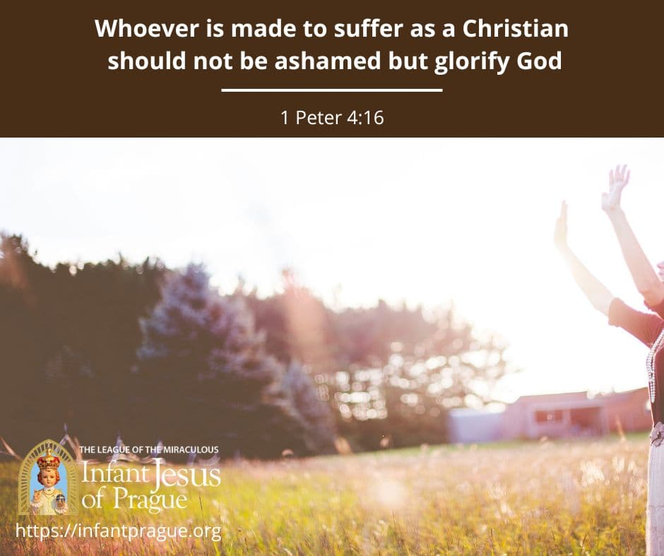 Infant of Prague Daily Scripture