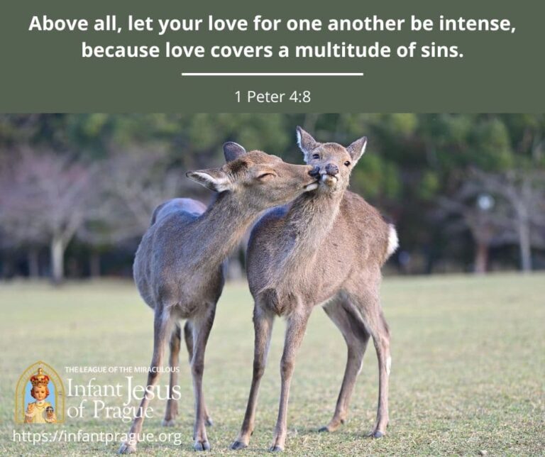 A deer kissing another deer