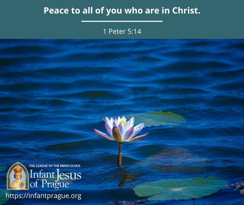 Infant of Prague Daily Scripture