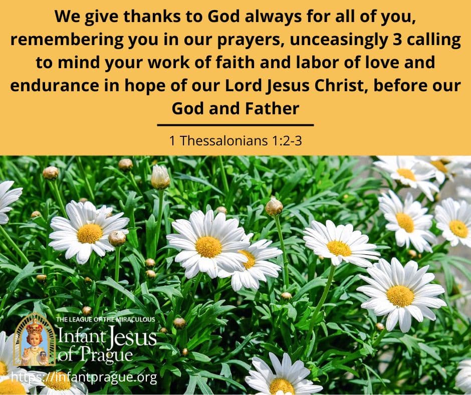 Infant of Prague Daily Scripture
