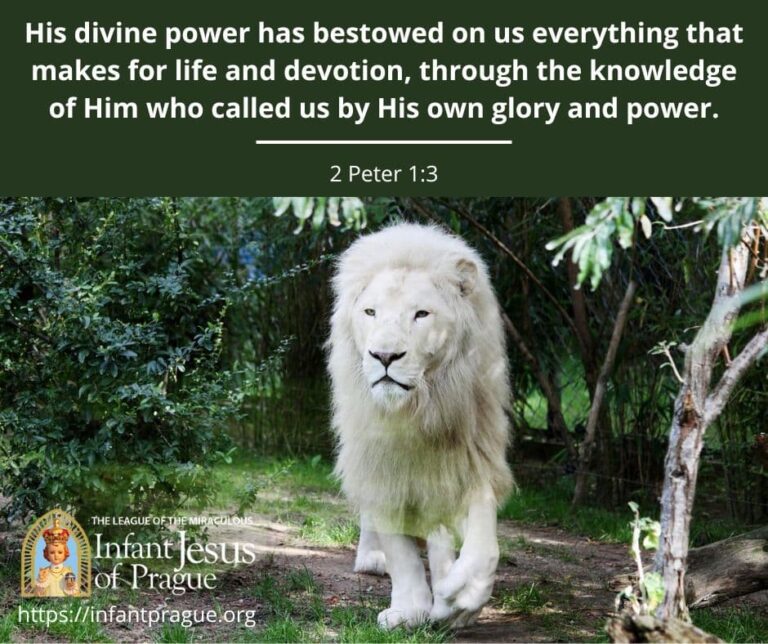 White lion surrounded by greenery