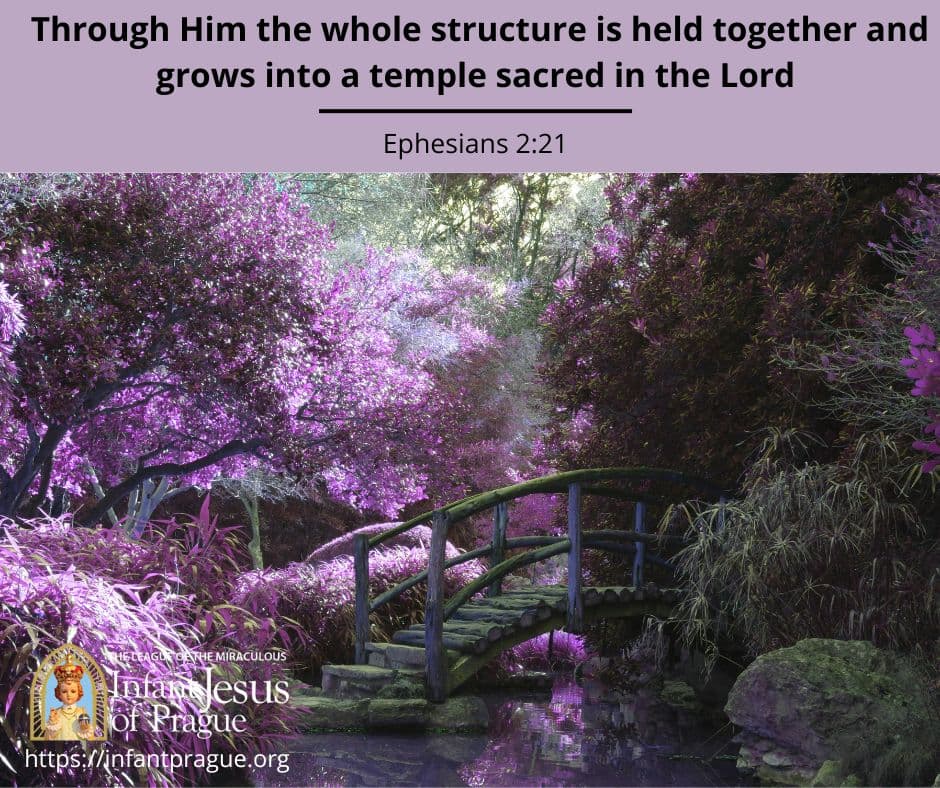 Purple trees and plants surrounding small arched wooden bridge over water.