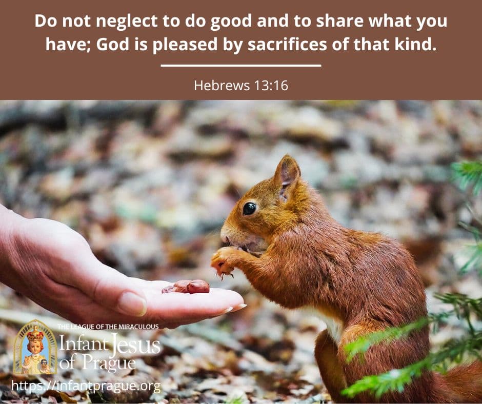 Close up of light brown squirrel eating from human hand