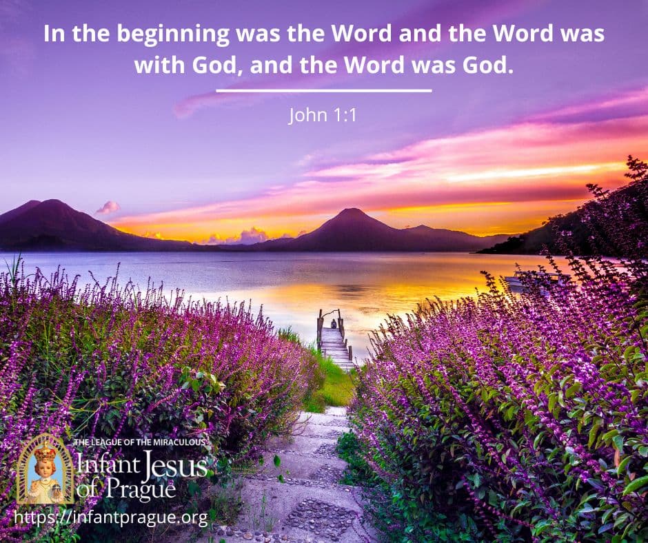 Narrow staircase surrounded by small purple wildflowers leading down towards a small dock over looking still water with silhouettes of distant mountain and a cloudy purple and orange sky.