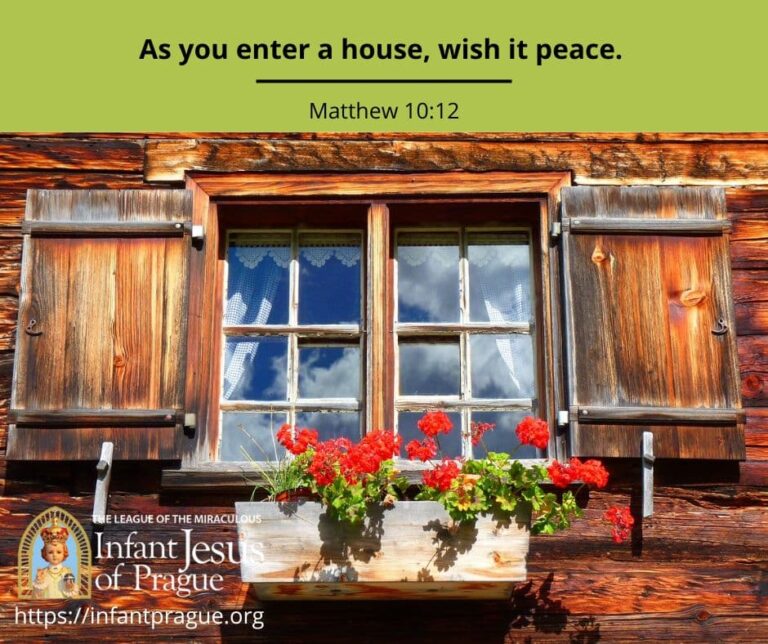 Paneled window on wooden house with red flowers in hanging flower box
