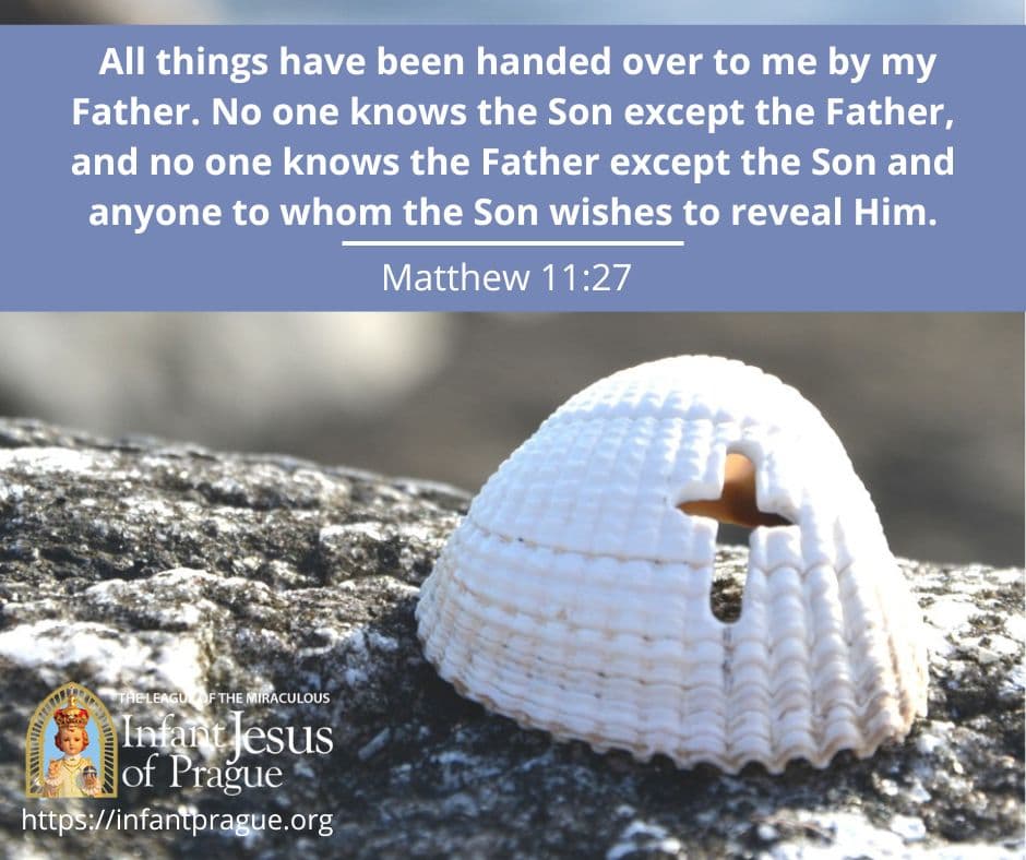 Carved out cross in white seashell placed on gray stone