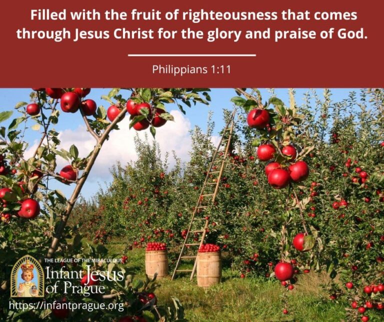 Bountiful red apple garden