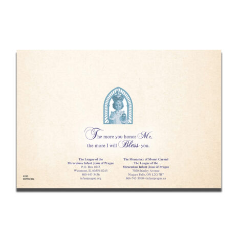 #243 Back Back of Christmas card #243