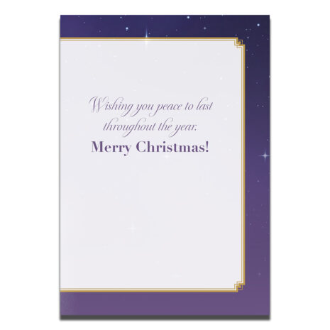 #249 Page 2 Message on card: Wishing you peace to last throughout the year. Merry Christmas!