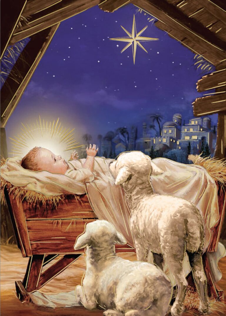 Baby Jesus in the manger