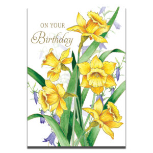 On Your Birthday #377